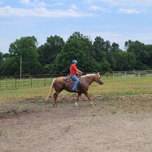 Meet your Posher, Lydia